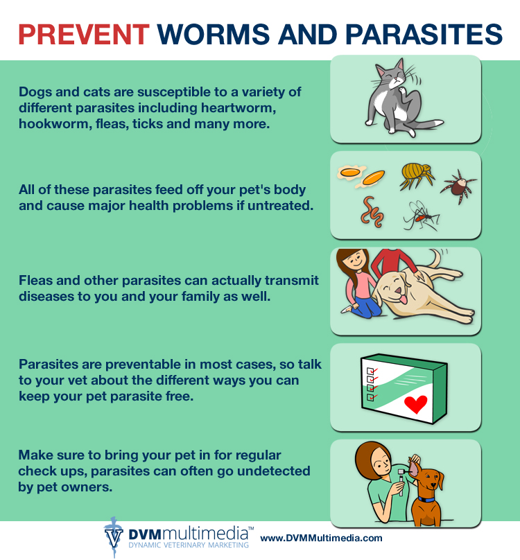 Protect your pet from worms and parasites